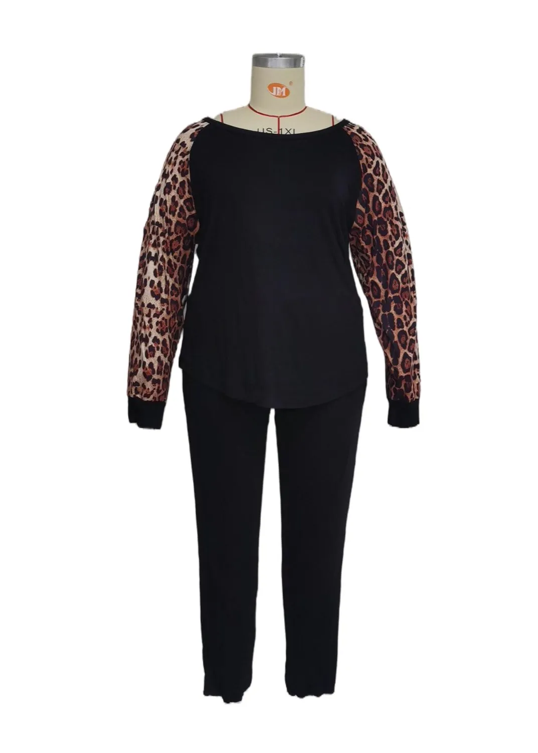 Leopard Sleeve Blouse & Pants Two-Piece Set