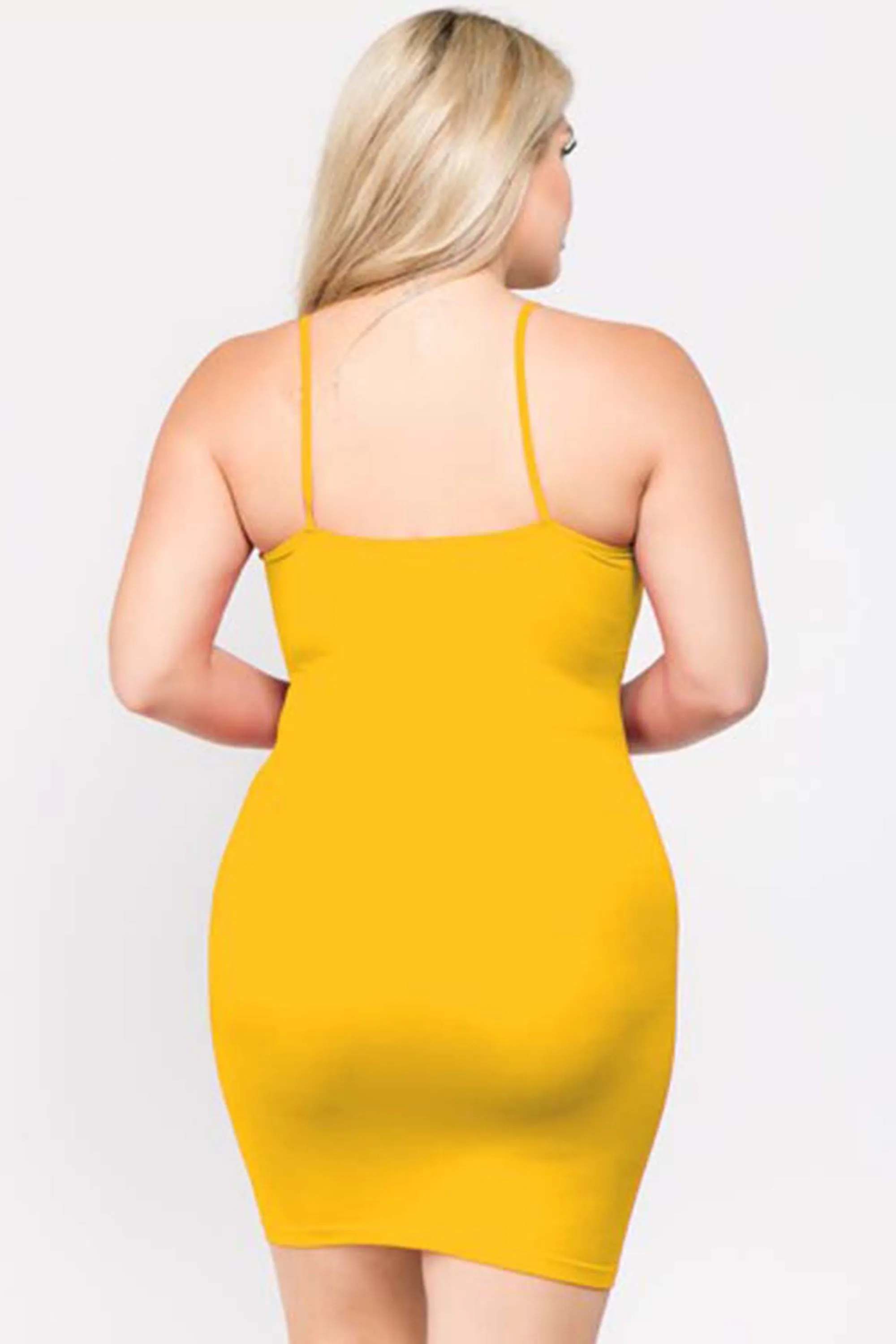 Plus Size A Slip of a Dress