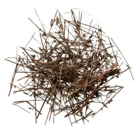 Tian Ji Huang (Hypericum)